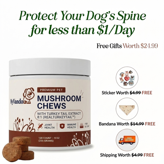 IVDD Mushroom Defense Chews
