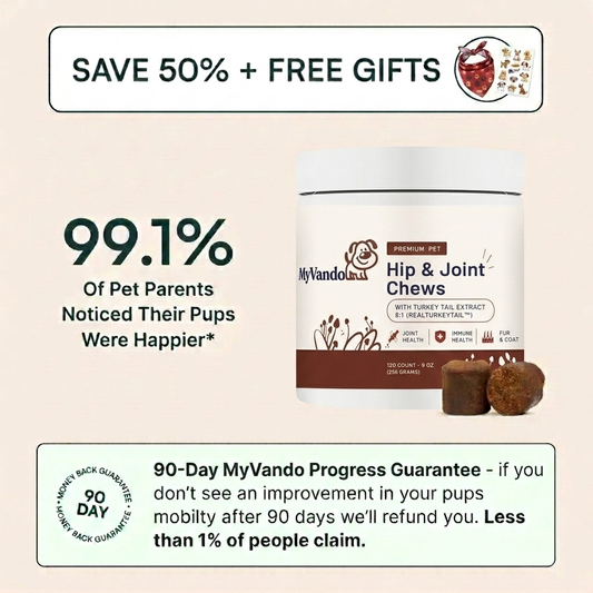 Hip & Joint Chews